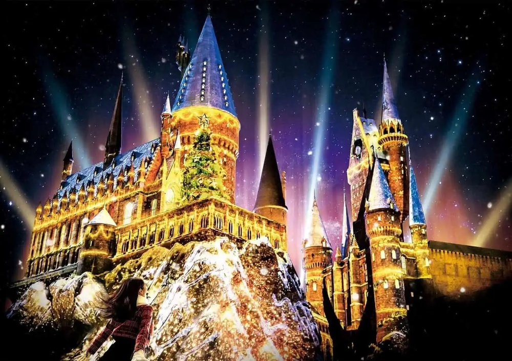 Hogwarts Magical Night Winter Magic
