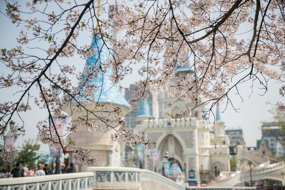 Gợi Ý Lộ Trình Tham Quan 1 Ngày Hiệu Quả Cho #teamKlook