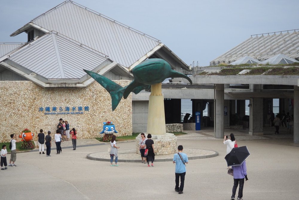 Giá Vé Thủy Cung Okinawa Churaumi