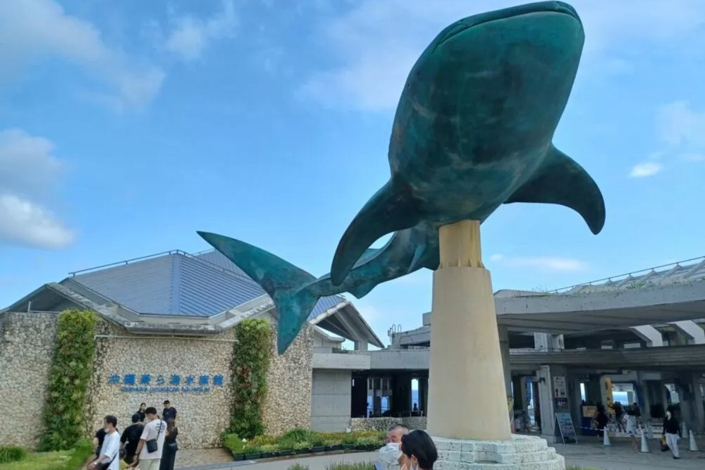 Check-in Với Những Bức Tượng Đáng Yêu Ngay Lối Vào