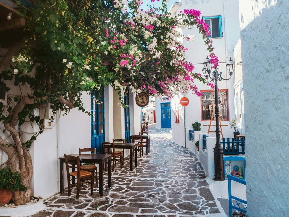 The cobblestone streets of Plaka, lined with bougainvillea bushes and white houses.