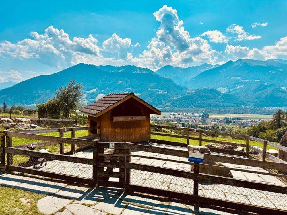 A goat pen with a background of mountains