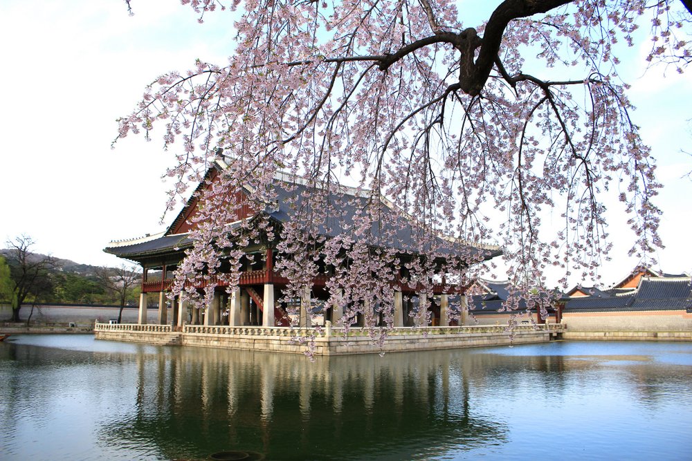 Cung Gyeonghoeru: Lầu Tiệc Trên Hồ – Góc Chụp Ảnh "Đắt Giá" Nhất