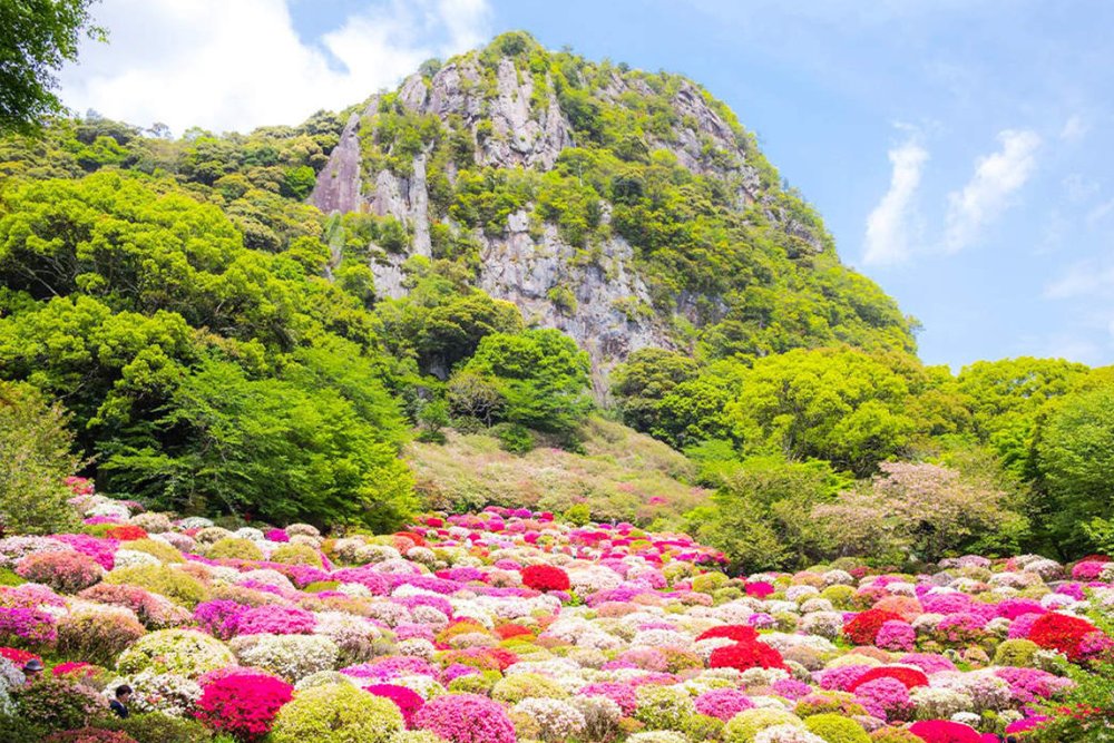Vườn Hoa Mifuneyama Rakuen - Chiêm Ngưỡng Tuyệt Tác Cảnh Quan Với Rừng Hoa Đỗ Quyên Rực Rỡ Nhất Saga
