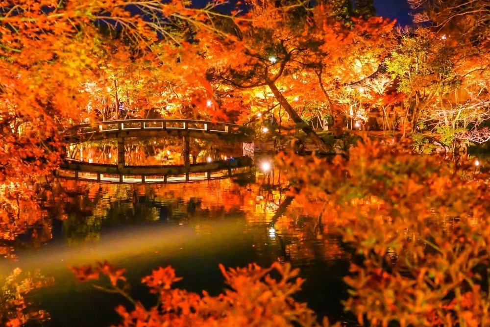 Buổi Tối: Thư Thả Tại Đền Tenryuji & Tận Hưởng Kyoto Về Đêm