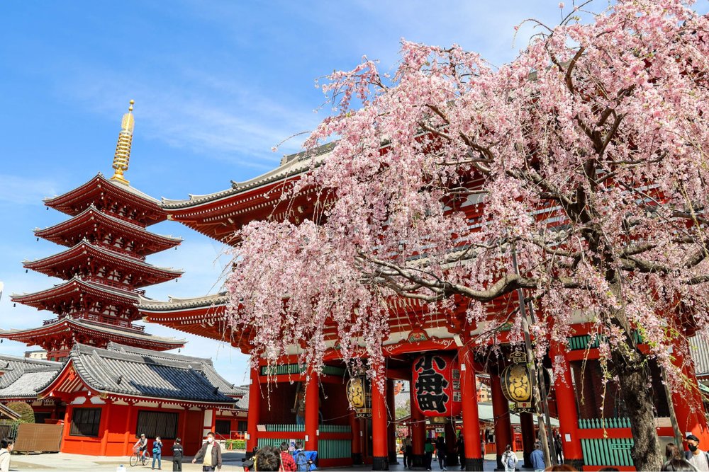 Ngày 6: Quay Trở Lại Tokyo