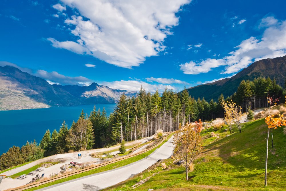  Queenstown Hill Walk – Cung Đường Trekking Ngắm Toàn Cảnh