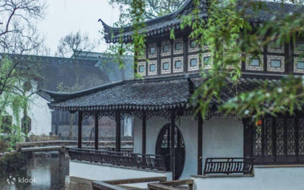 Ngô Trúc U Cư – Chiêm Ngưỡng Vẻ Đẹp Thanh Nhã Giữa Bóng Trúc Ngô Đồng