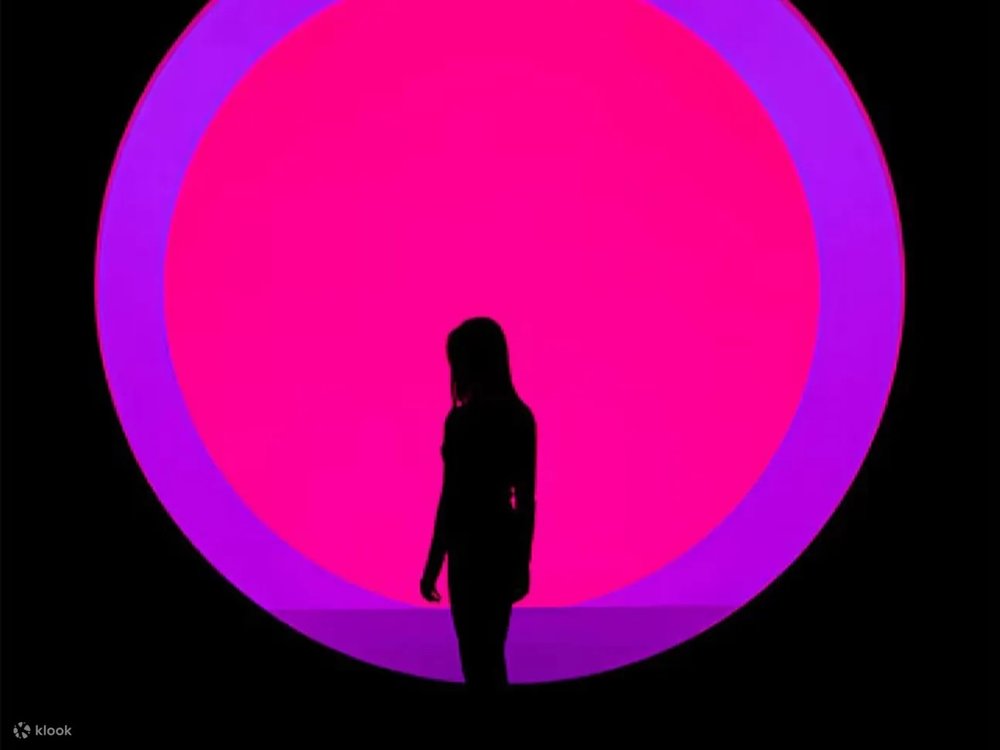 Khám Phá Nghệ Thuật Đương Đại Tại Arte Museum