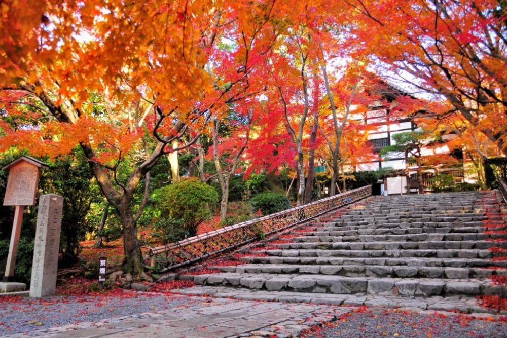 Buổi Sáng: Dạo Quanh Chùa Vàng Kinkakuji - Chùa Ryoanji - Chùa Ninnaji