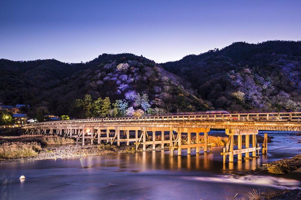 Buổi Tối: Dạo Bước Trên Cầu Togetsukyo - Công Viên Khỉ Arashiyama