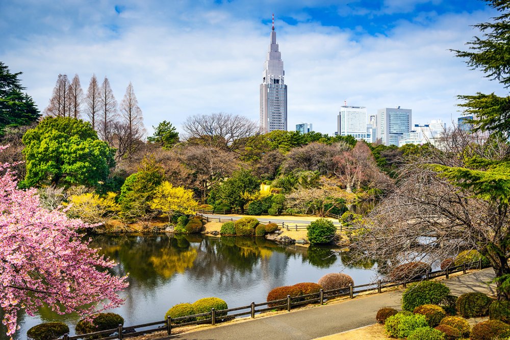 Buổi Sáng: Tản Bộ Tại Vườn Quốc Gia Kyoto Gyoen