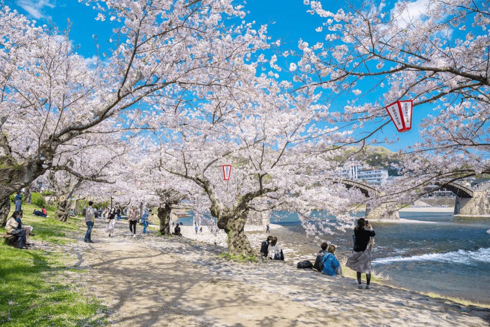 Công viên Ueno - Trải Nghiệm Hanami Truyền Thống