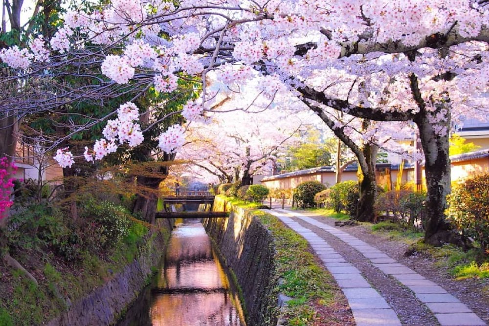  Tản Bộ Dọc Dòng Kênh Lãng Mạn Tetsugaku no Michi