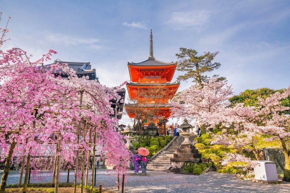 Chùa Kiyomizu-dera - Ngắm Hoa Anh Đào Trên Đồi Cao