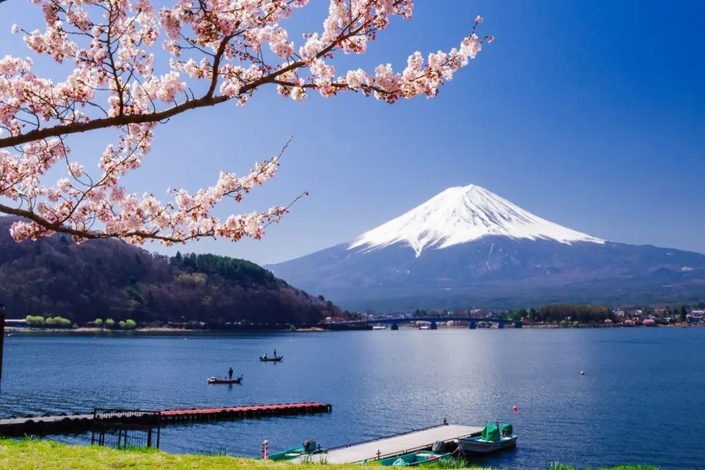Hồ Kawaguchi - Ôm Trọn Khung Cảnh Nhật Bản Mùa Xuân