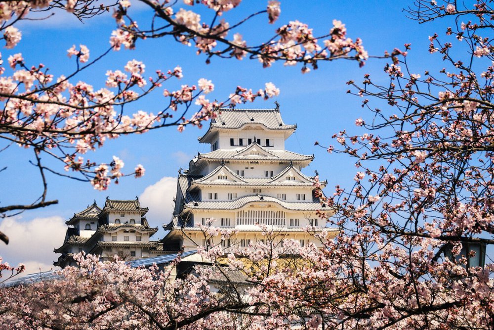 Kobe: Lãng Mạn Bên Cảnh Sắc Đô Thị và Biển