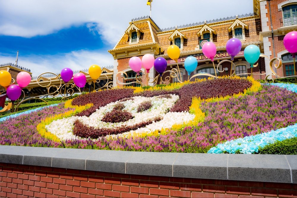 20周年の香港ディズニーランドのクリスマスへ！　ミッキー　花壇