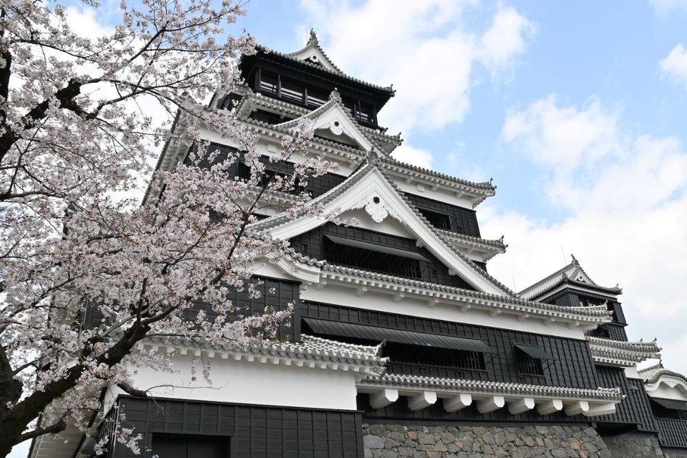 Buổi Chiều - Khám Phá Những Biểu Tượng Của Kumamoto