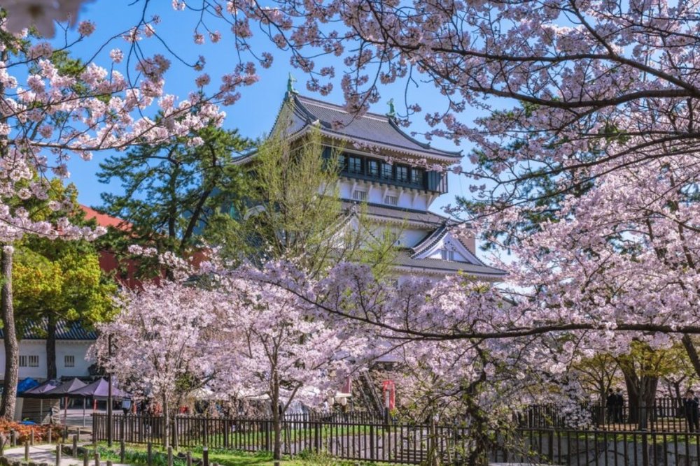 Ngày 7: Ngày cuối cùng ở Fukuoka