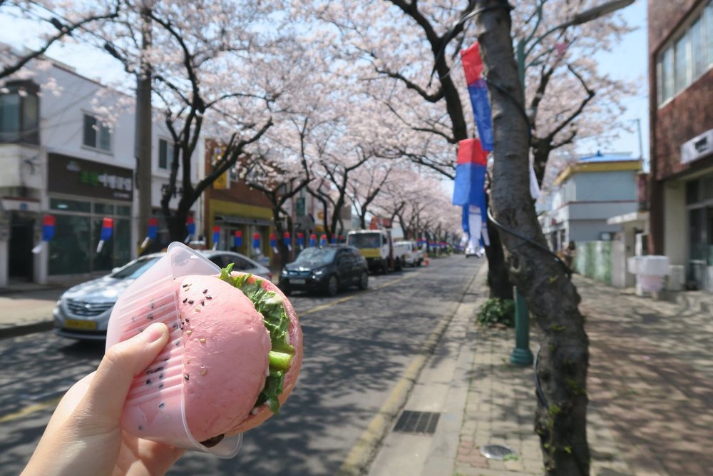 Mùa Xuân (Tháng 3 - 5): Thiên Đường Hoa Rực Rỡ