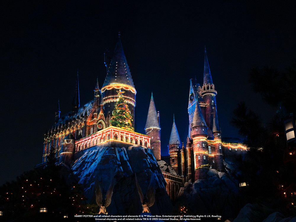 The Magic of Christmas at Hogwarts™ Castle