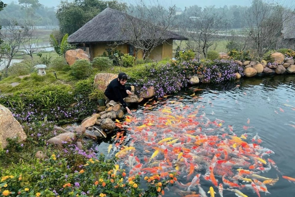 Lịch Trình Gợi Ý Cho Các Cặp Đôi Muốn “Trốn” Hà Nội