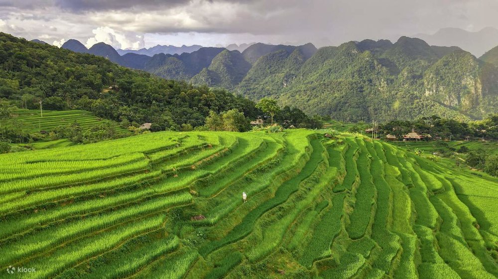 Vì Sao Cặp Đôi Nên Đi Du Lịch Hòa Bình?