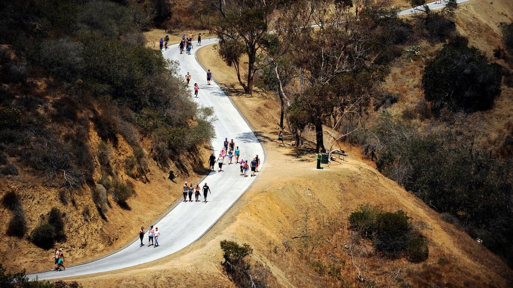 Runyon Canyon – Khung Hình LA Tự Do Giữa Thiên Nhiên