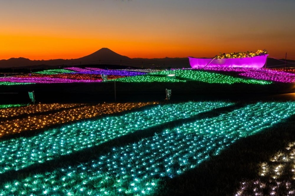 Chiều: Nông Trại Mother Farm - Trải Nghiệm Thiên Nhiên & Hoàng Hôn Trên Đồi