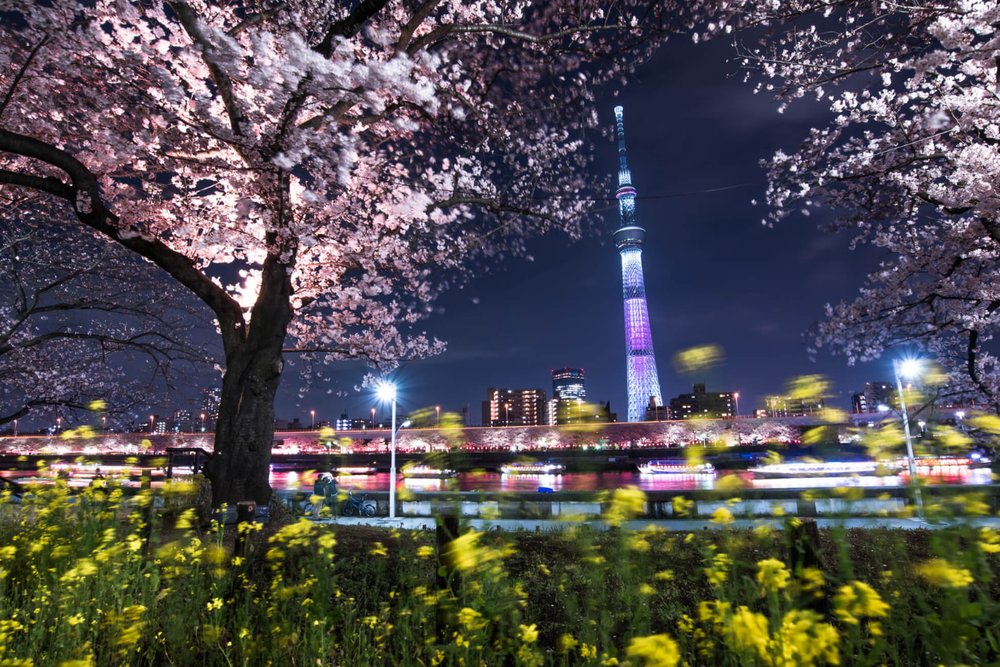 Tối: Ngắm Cảnh Đêm Tokyo Từ Trên Cao: Trải Nghiệm Trực Thăng Xa Hoa