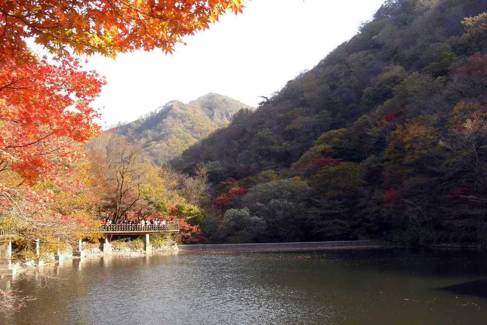 Công Viên Naejangsan – Thiên Đường Ngắm Lá Đỏ Rực Rỡ Nhất