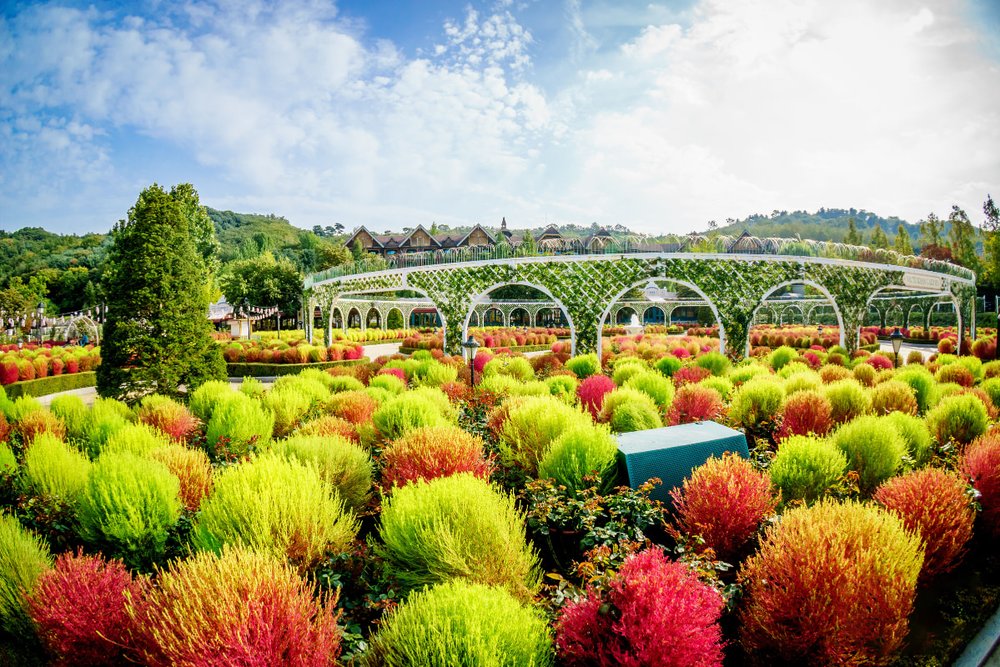 Công Viên Everland – Thiên Đường Giải Trí Lớn Nhất Hàn Quốc