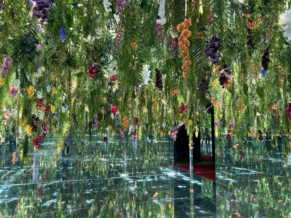 Vườn Chim Gapyeong Begonia – Không Gian Thư Giãn Giữa Hương Hoa Và Tiếng Chim