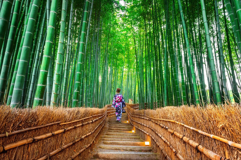 woman in a kimono at arashiyama bamboo forest in kyoto japan