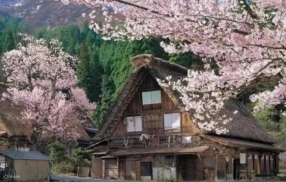 白川鄉點燈, 白川鄉攻略, 白川鄉四季, 白川鄉春季