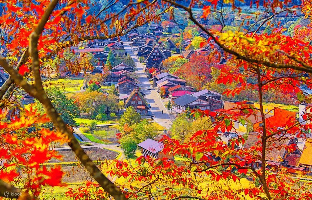 白川鄉點燈, 白川鄉攻略, 白川鄉四季, 白川鄉秋季, 白川鄉紅葉, 白川鄉賞楓