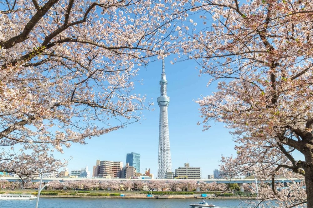 Tháp Tokyo - Vì Sao Nơi Này Luôn Khiến Du Khách Muốn Ghé Một Lần?