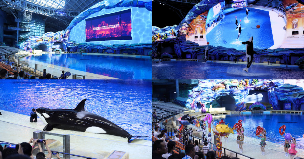 โซน Orca Stadium