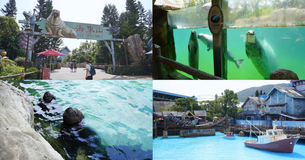 โชว์วอลรัส สิงโตทะเล และแมวน้ำ