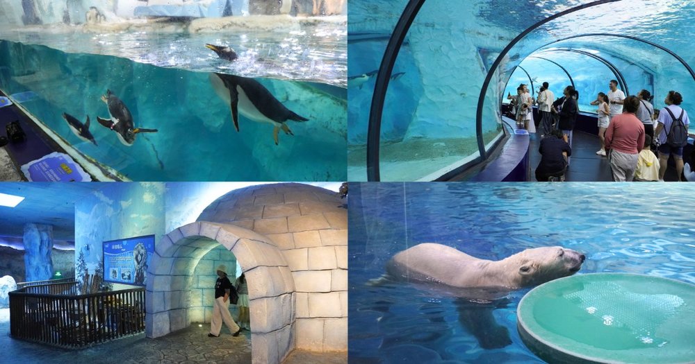 รีวิวโซน Polar Horizon