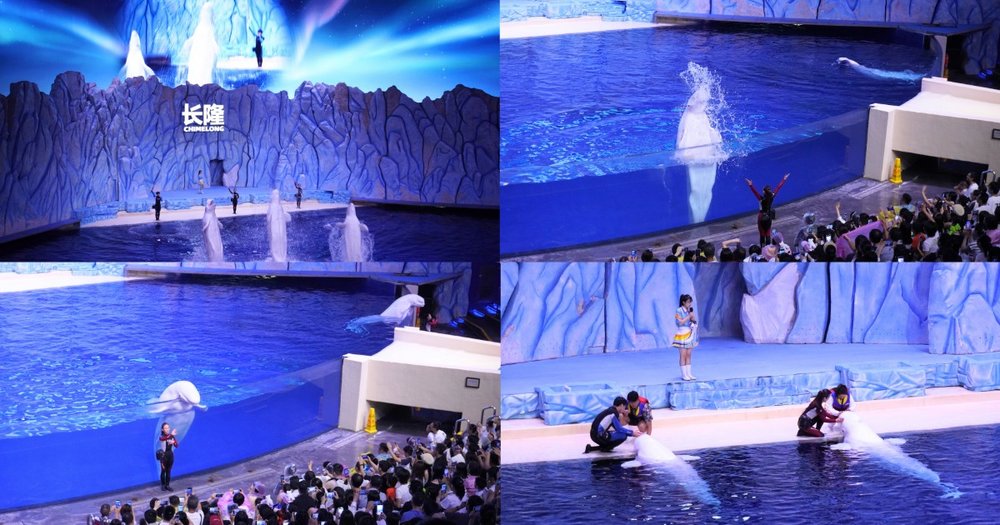 Beluga Theatre สถานที่จัดแสดงโชว์วาฬเบลูก้า