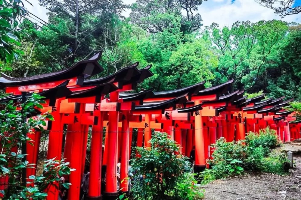Fushimi Inari Taisha - Đi Bộ Qua Cổng Torii Đỏ Trong Không Khí Tết Nhật