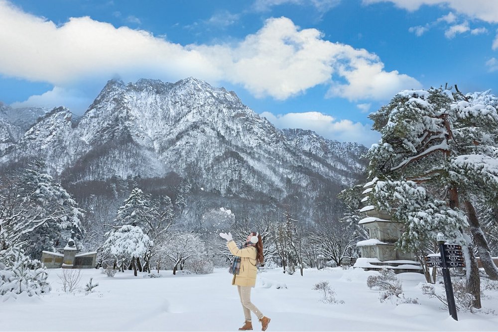 Seoraksan: Trải Nghiệm Ngắm Tuyết Rơi Yên Bình