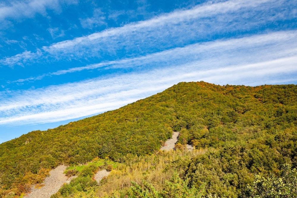 Jeongseon - Núi Non Hùng Vĩ & Trải Nghiệm Chợ Truyền Thống Arirang