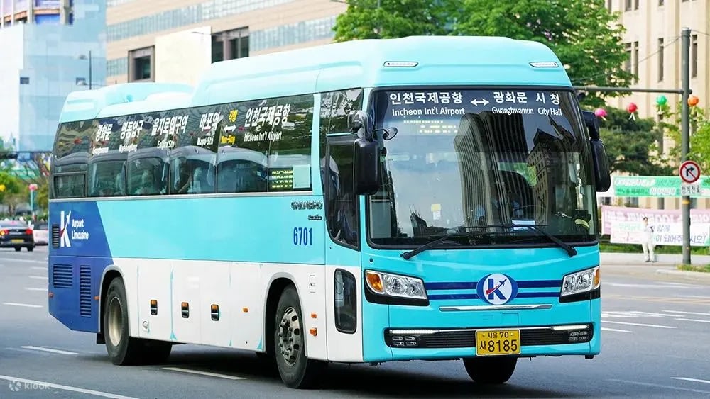 singapore korea vtl limo bus