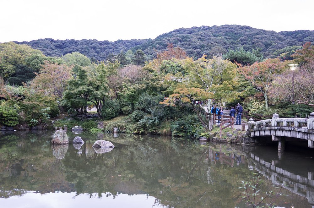 Maruyama Park in Kyoto