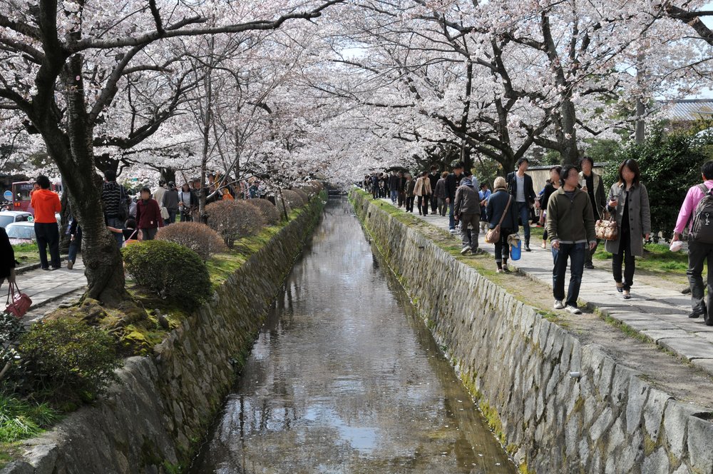 Tourists walking in Tetsugaku no Michi