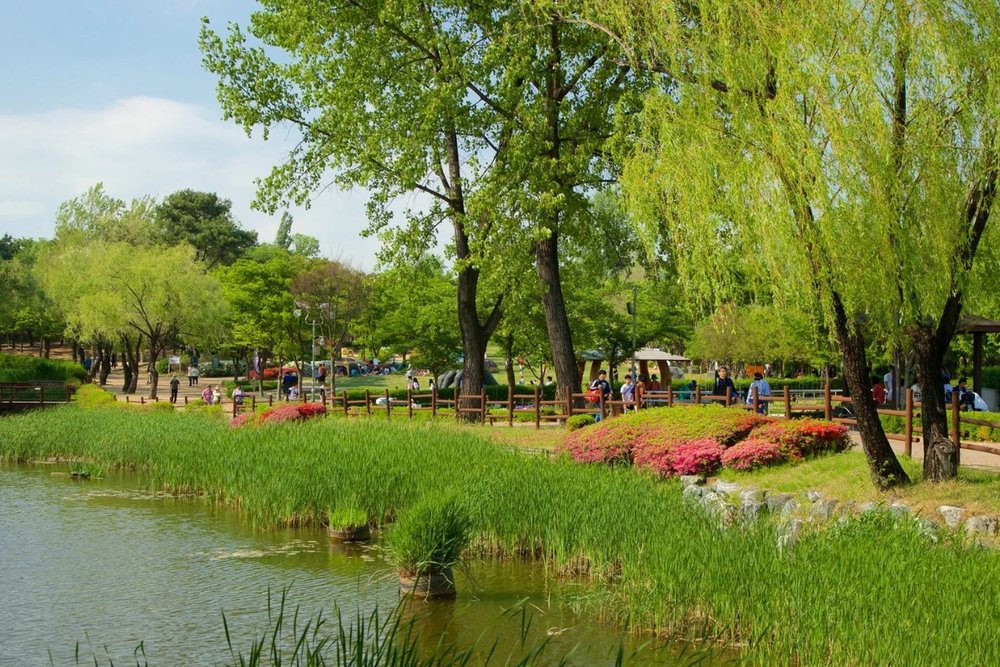 Buổi Chiều - Dạo Bước Khu Yongsan - Chậm Lại Giữa Lòng Seoul