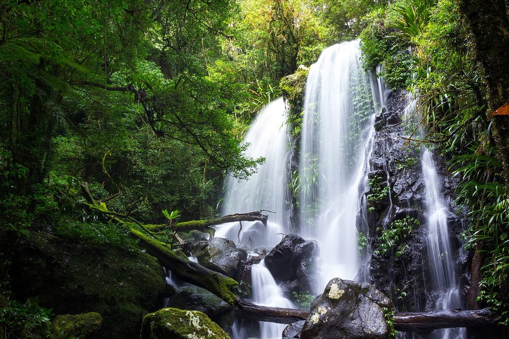 Waterfall surrounded by rainforest in Lamington National Park, Queensland.